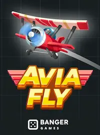 Avia Fly crash at BJ7 COM
